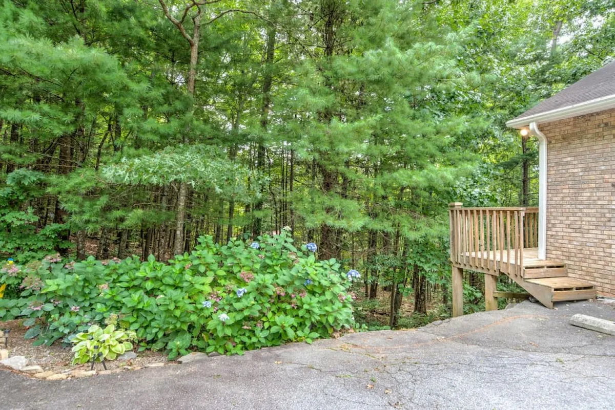 This image captures a lush outdoor setting filled with green foliage and flowering plants, centered around a wooden deck. The space feels open and inviting, suggesting easy access to nature for both pets and their owners. The surrounding greenery hints at the types of outdoor environments featured in South Asheville's parks and trails.
